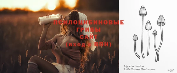 стафф Балахна