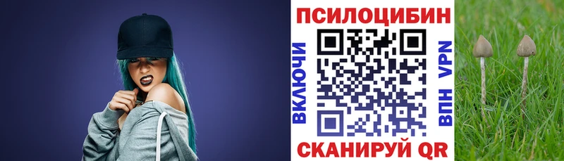 Псилоцибиновые грибы мицелий  Городец 